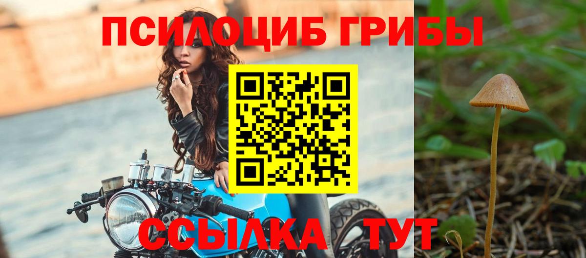 Псилоцибиновые грибы Psilocybine cubensis Шахты