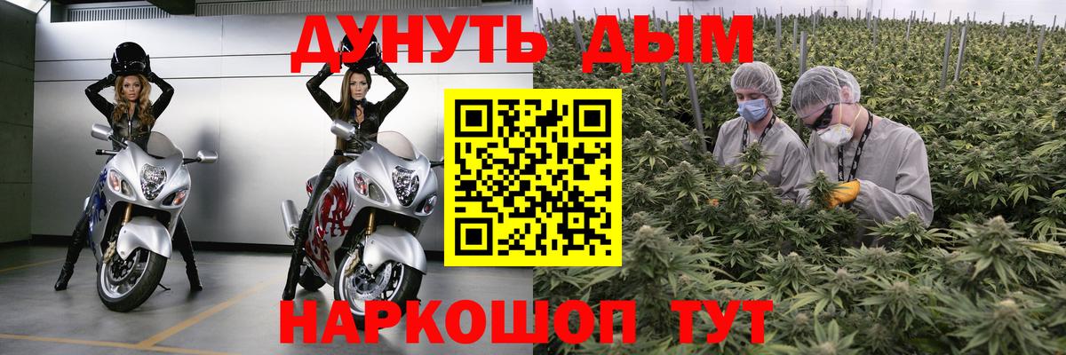 Бошки марихуана сатива  Вход с VPN  Шахты  Каннабис SATIVA & INDICA 